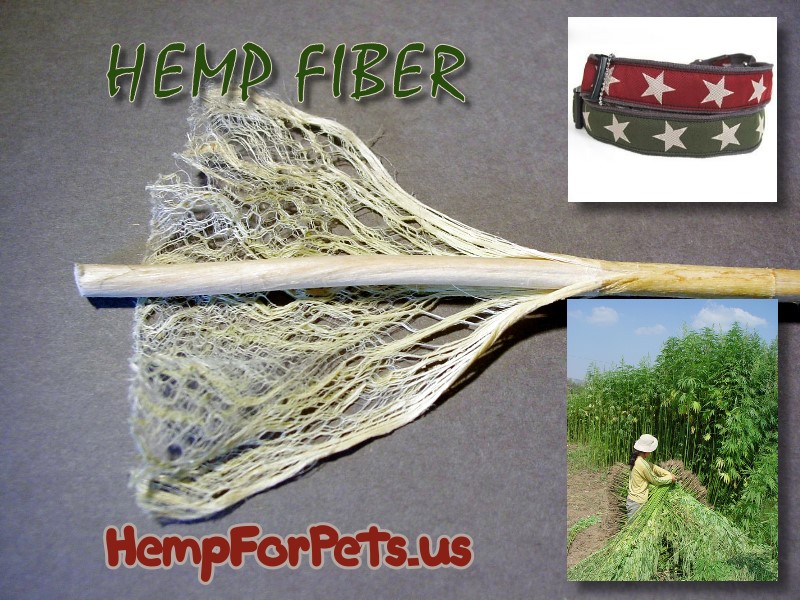 What is hemp fiber? An all-natural renewable reseource.